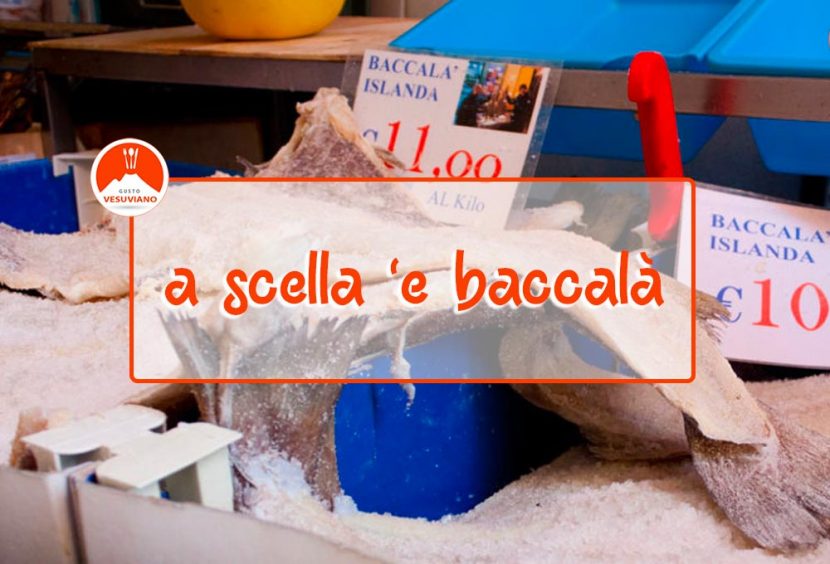 scella-baccala